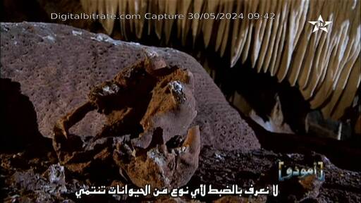 Capture Image Tamazight 11476 V
