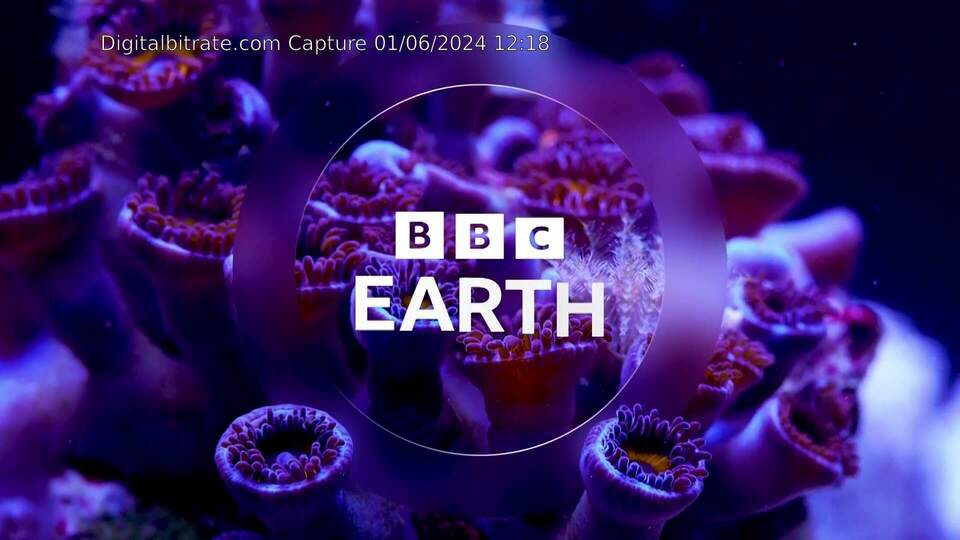 Capture Image BBC Earth SLI