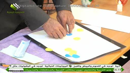 Capture Image Yemen Education TV 12686 H