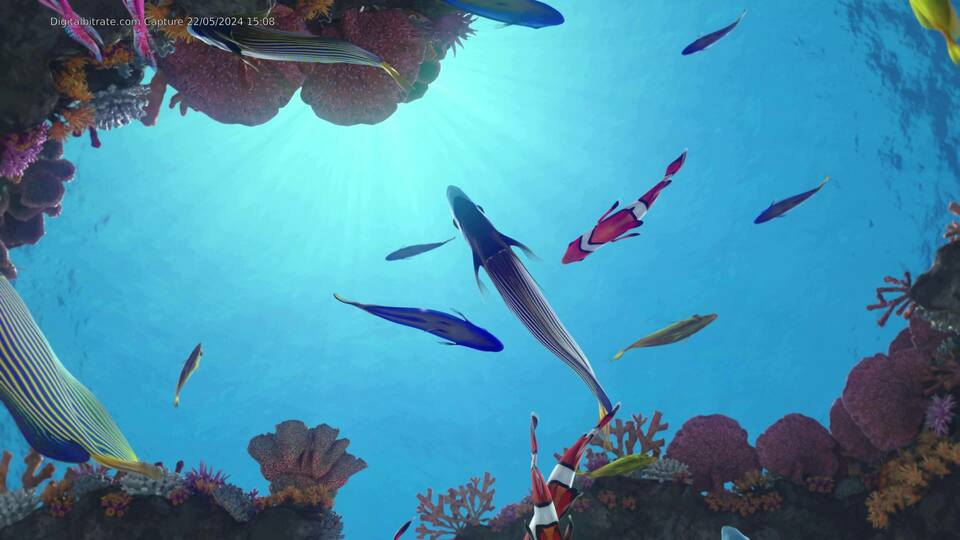 Capture Image Tropski podvodni svet SLI